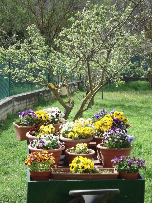 Abruzzo Segreto Bed & Breakfast Navelli Ngoại thất bức ảnh